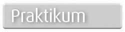 Praktikum